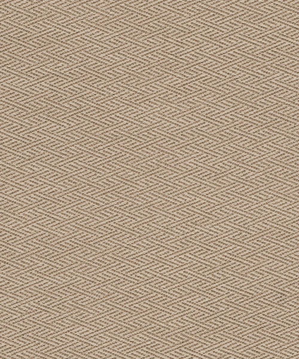 BS-S0082